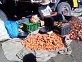 DSC00244