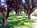 DSC00360