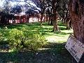 DSC00361