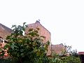 DSC00395