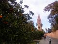 DSC00420
