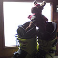wer ist denn hier im Schuh
