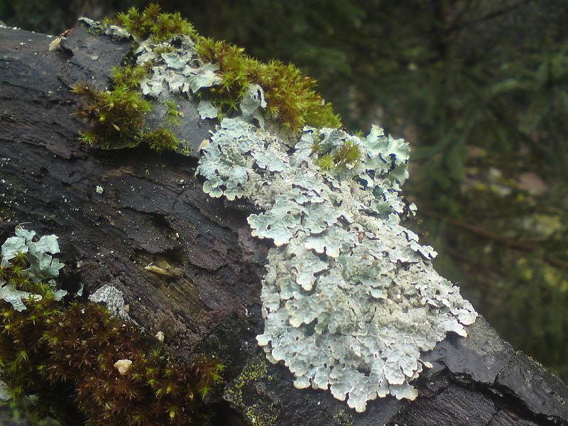 DSC01324.JPG