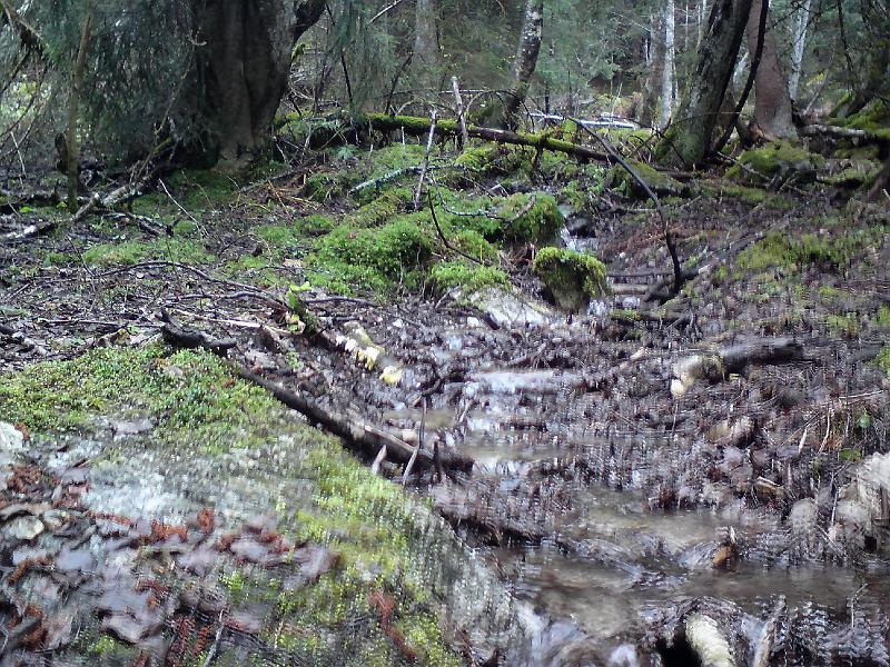 DSC01326.JPG