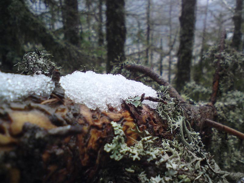 DSC01335.JPG