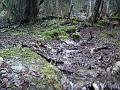 DSC01326