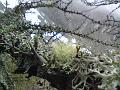 DSC01333