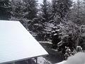 DSC01340