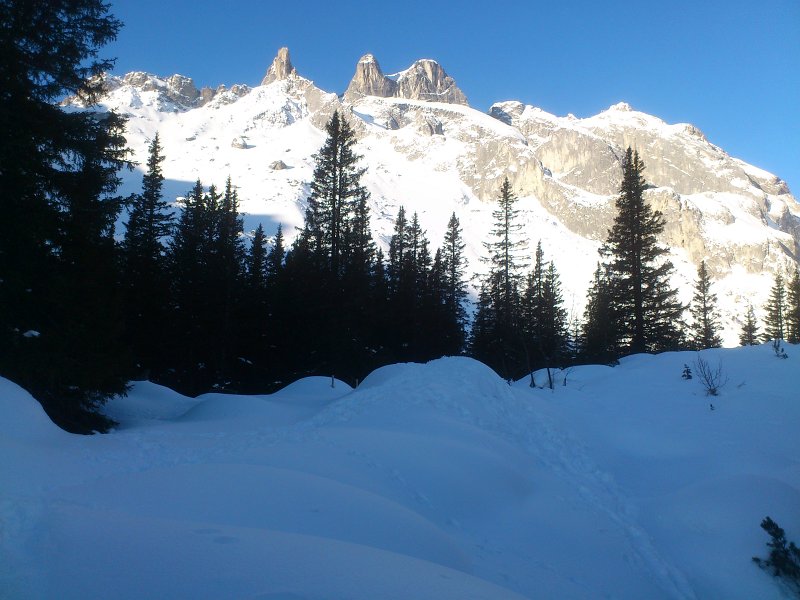 DSC_0049.jpg